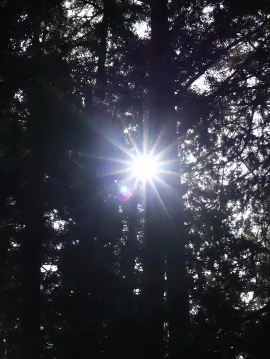 北口本宮冨士浅間神社(山梨県)