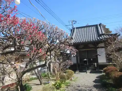 西念寺(静岡県)