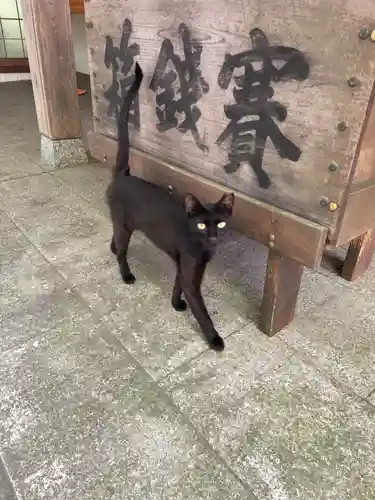玉野御嶽神社(愛知県)