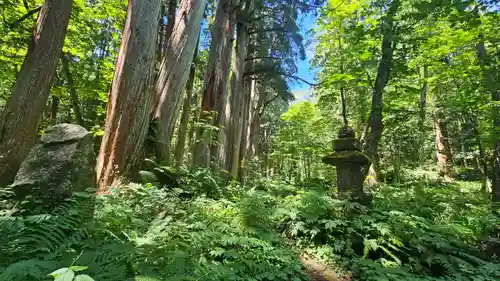 戸隠神社奥社(長野県)