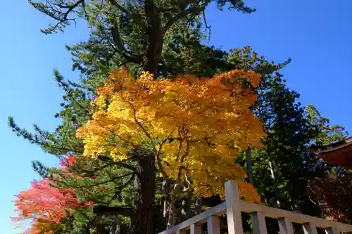 高野山金剛峯寺の自然
