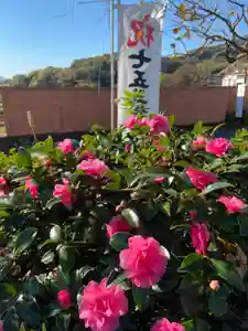 比々多神社の自然(2021年11月13日(土) 20時54分18秒投稿)