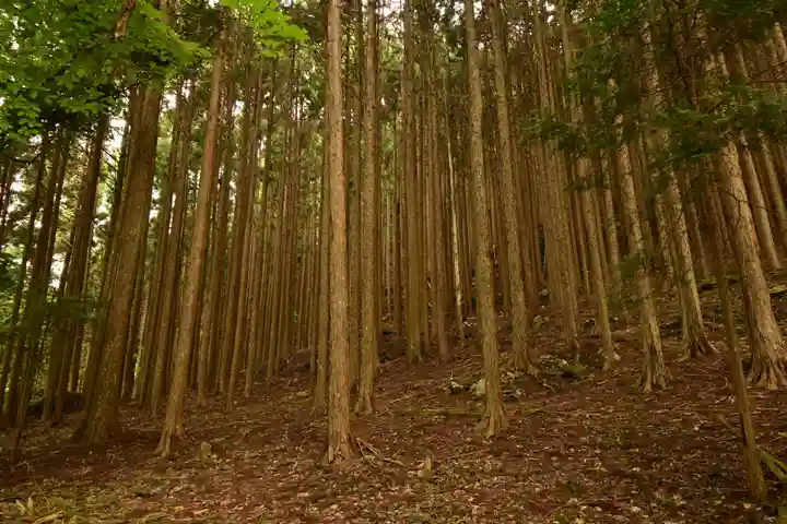 鉾神社(徳島県)