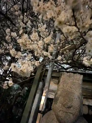 玉眞院玉川大師(東京都)