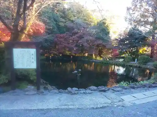富士山本宮浅間大社(静岡県)