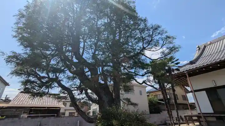 永昌寺(岐阜県)