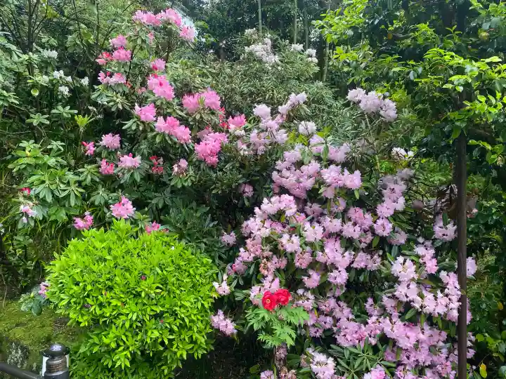 岡寺(龍蓋寺)の{uncategorized: "未分類", other: "その他", undefined: "問題あり", building: "その他建物", grave: "お墓", sacred_gate: "鳥居", guardian: "狛犬", statue: "像", buddha: "仏像", history: "歴史", nature: "自然", garden: "庭園", animal: "動物", pagoda: "塔", temizu: "手水舎", mountain_gate: "山門・神門", sanctuary: "本殿・本堂", subordinate: "末社・摂社", art: "芸術", scenery: "景色", jizo: "地蔵", ema: "絵馬", goshuin: "御朱印", omikuji: "おみくじ", items: "授与品その他", amulet: "お守り", goshuincho: "御朱印帳", eats: "食事", festival: "お祭り", votive_dance: "神楽", shichigosan: "七五三参", wedding: "結婚式", experience: "体験その他", initially: "初詣", around: "周辺", anti_infection: "感染症対策"}