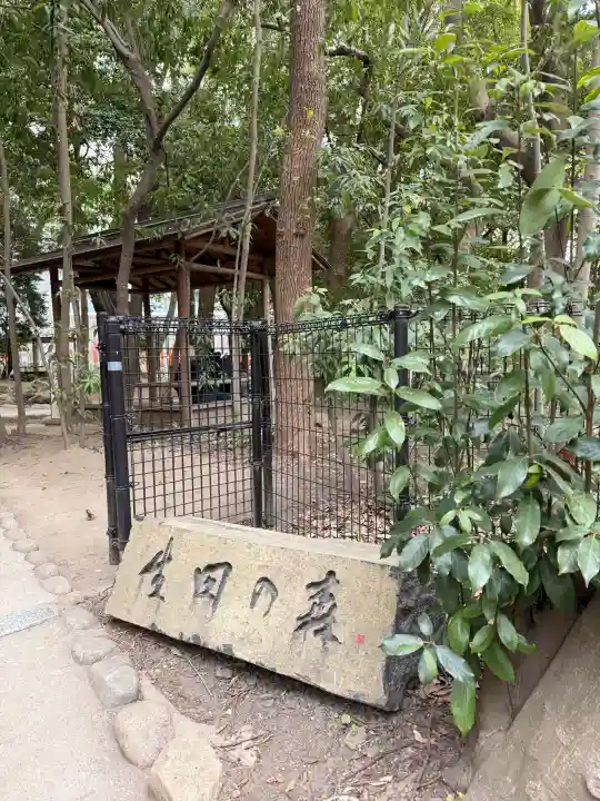 生田神社の{uncategorized: "未分類", other: "その他", undefined: "問題あり", building: "その他建物", grave: "お墓", sacred_gate: "鳥居", guardian: "狛犬", statue: "像", buddha: "仏像", history: "歴史", nature: "自然", garden: "庭園", animal: "動物", pagoda: "塔", temizu: "手水舎", mountain_gate: "山門・神門", sanctuary: "本殿・本堂", subordinate: "末社・摂社", art: "芸術", scenery: "景色", jizo: "地蔵", ema: "絵馬", goshuin: "御朱印", omikuji: "おみくじ", items: "授与品その他", amulet: "お守り", goshuincho: "御朱印帳", eats: "食事", festival: "お祭り", votive_dance: "神楽", shichigosan: "七五三参", wedding: "結婚式", experience: "体験その他", initially: "初詣", around: "周辺", anti_infection: "感染症対策"}