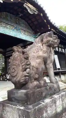御香宮神社の狛犬