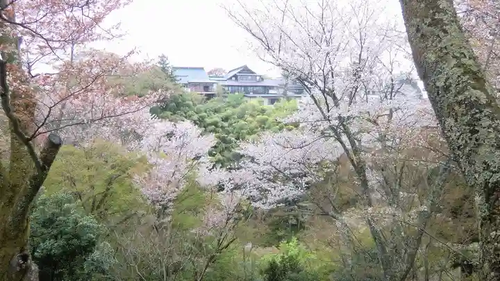 金峯山寺(奈良県)