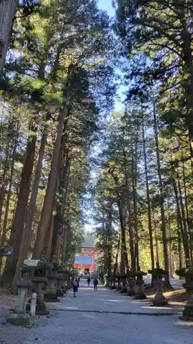 北口本宮冨士浅間神社の建物その他