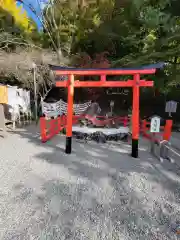 出雲大神宮の鳥居