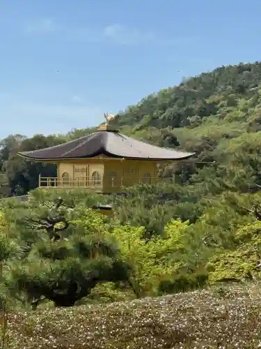 鹿苑寺（金閣寺）の{uncategorized: "未分類", other: "その他", undefined: "問題あり", building: "その他建物", grave: "お墓", sacred_gate: "鳥居", guardian: "狛犬", statue: "像", buddha: "仏像", history: "歴史", nature: "自然", garden: "庭園", animal: "動物", pagoda: "塔", temizu: "手水舎", mountain_gate: "山門・神門", sanctuary: "本殿・本堂", subordinate: "末社・摂社", art: "芸術", scenery: "景色", jizo: "地蔵", ema: "絵馬", goshuin: "御朱印", omikuji: "おみくじ", items: "授与品その他", amulet: "お守り", goshuincho: "御朱印帳", eats: "食事", festival: "お祭り", votive_dance: "神楽", shichigosan: "七五三参", wedding: "結婚式", experience: "体験その他", initially: "初詣", around: "周辺", anti_infection: "感染症対策"}