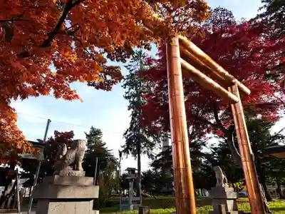 空知神社の鳥居