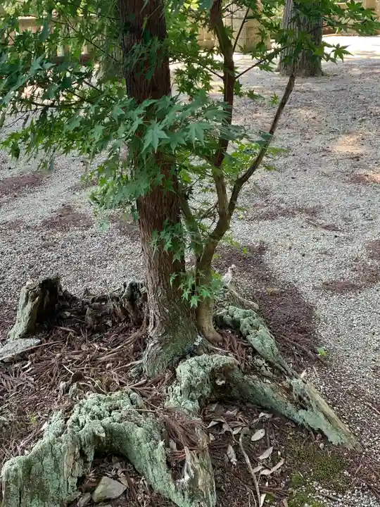 伊王野温泉神社(栃木県)