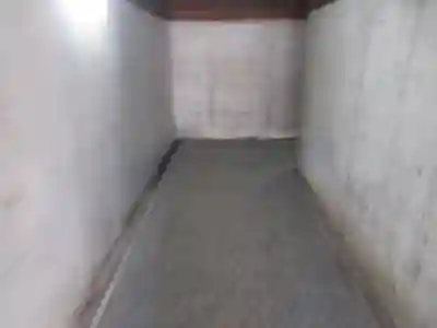 白山神社(新潟県)