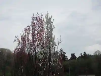 聖神社(埼玉県)