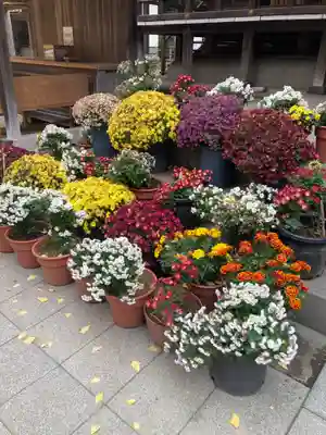 平塚八幡宮(神奈川県)