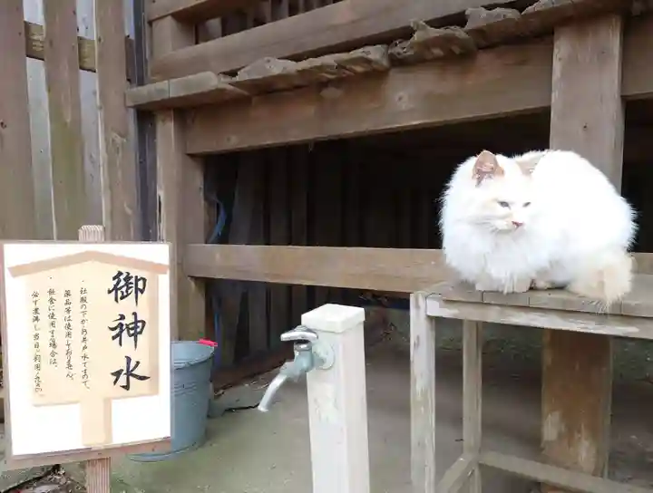 鎌数伊勢大神宮の動物