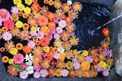 大鏑神社の手水舎