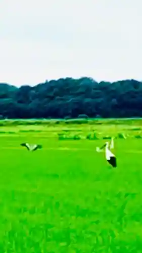 布施弁天 東海寺(千葉県)