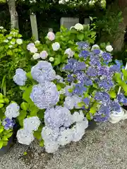 源九郎稲荷神社(奈良県)