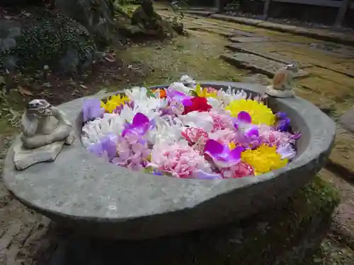 かっぱの寺 栖足寺の手水舎