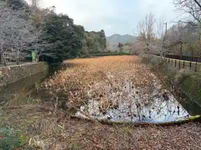御髪神社の{uncategorized: "未分類", other: "その他", undefined: "問題あり", building: "その他建物", grave: "お墓", sacred_gate: "鳥居", guardian: "狛犬", statue: "像", buddha: "仏像", history: "歴史", nature: "自然", garden: "庭園", animal: "動物", pagoda: "塔", temizu: "手水舎", mountain_gate: "山門・神門", sanctuary: "本殿・本堂", subordinate: "末社・摂社", art: "芸術", scenery: "景色", jizo: "地蔵", ema: "絵馬", goshuin: "御朱印", omikuji: "おみくじ", items: "授与品その他", amulet: "お守り", goshuincho: "御朱印帳", eats: "食事", festival: "お祭り", votive_dance: "神楽", shichigosan: "七五三参", wedding: "結婚式", experience: "体験その他", initially: "初詣", around: "周辺", anti_infection: "感染症対策"}