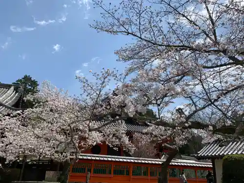 毘沙門堂門跡の自然