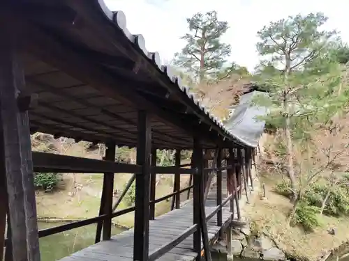 高台寺（高台寿聖禅寺・高臺寺）(京都府)
