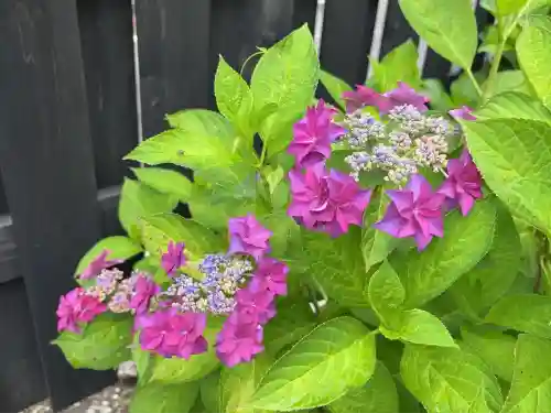時宗総本山 遊行寺（正式：清浄光寺）(神奈川県)
