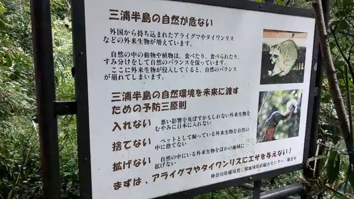 佐助稲荷神社の動物