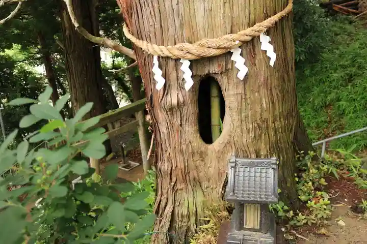 阿久津「田村神社」(郡山市阿久津町)旧社名:伊豆箱根三嶋三社の自然