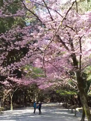 近江神宮の自然