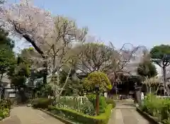 白山神社の建物その他