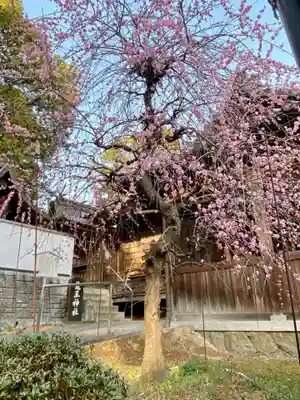 若狭野天満神社のその他建物