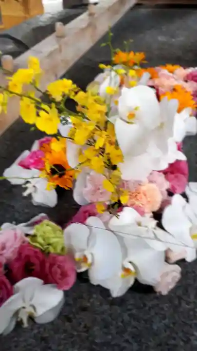 彌彦神社 (伊夜日子神社)の手水舎