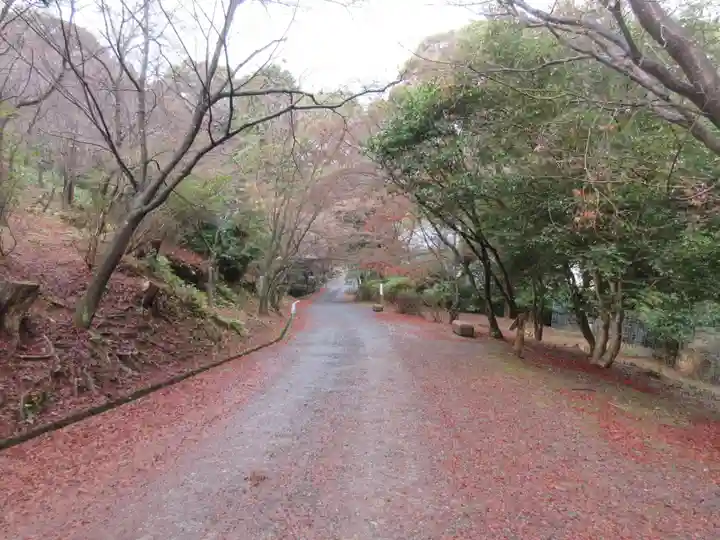 園城寺(三井寺)(滋賀県)
