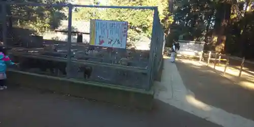 鹿島神宮のその他建物