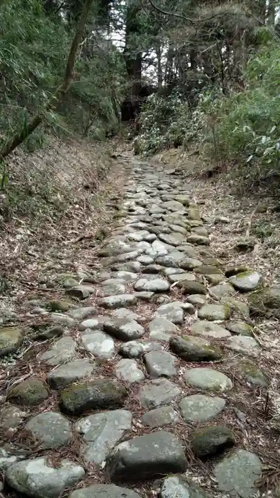 箱根神社の周辺