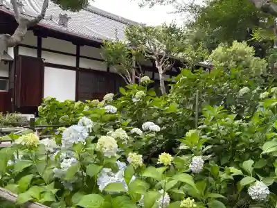 頼光寺(兵庫県)