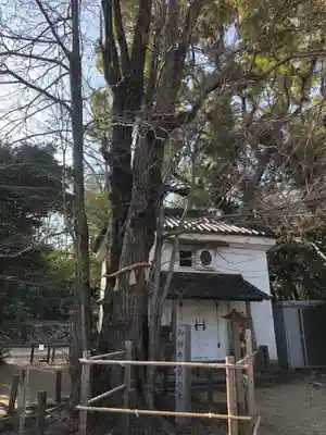梨木神社(京都府)