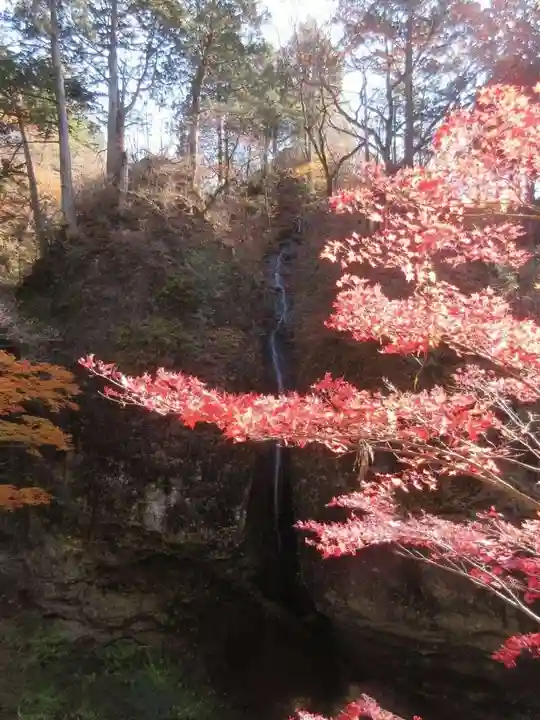 榛名神社の自然