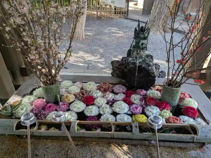 世田谷八幡宮(東京都)