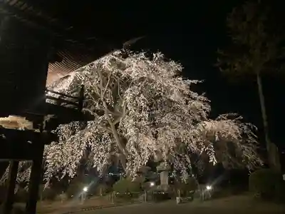 長谷寺(長野県)