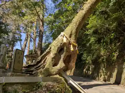 笠森寺(千葉県)