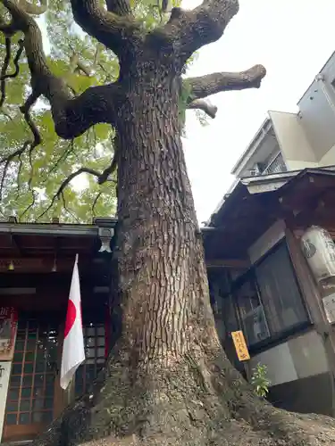若一神社(京都府)