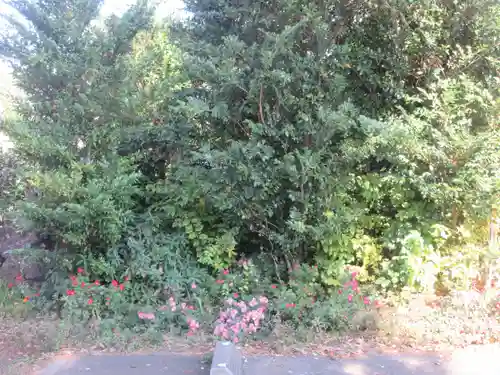 鷺宮八幡神社(東京都)