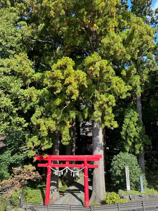 須山浅間神社(静岡県)