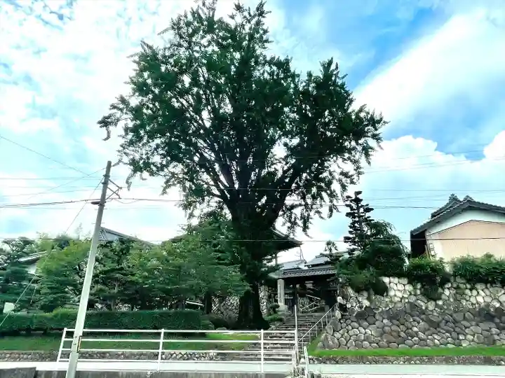 金蔵寺(三重県)